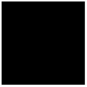 SL 33X33 5746 FORTE NEGRO CJ 1,96 MT2