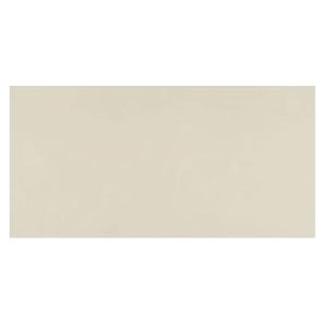 PORCELANATO TECNICO ILVA 30X60 ECOLAND SNOW PULIDO 2DA CJ.1.42 M2