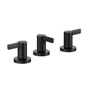 FV 295/G8 MAUNA BIDE NG (NEGRO)